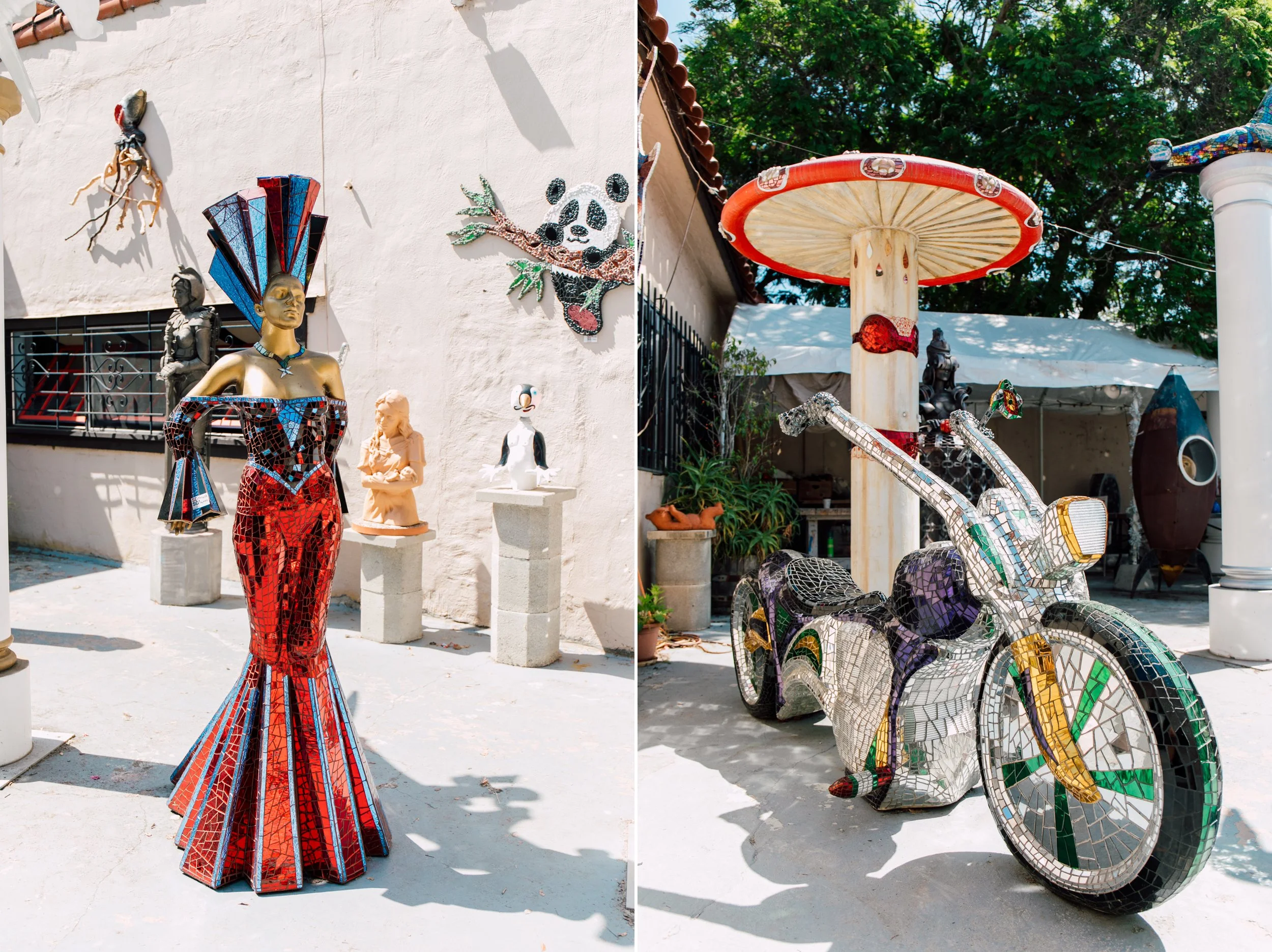 San Diego Point Loma Balboa Park Coronado Island Raptor Experience Katheryn Moran Photography