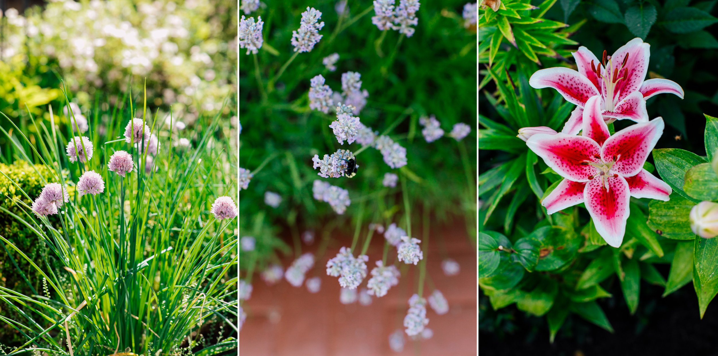 Bellingham Best Wedding Photographer Katheryn Moran Lairmont Manor