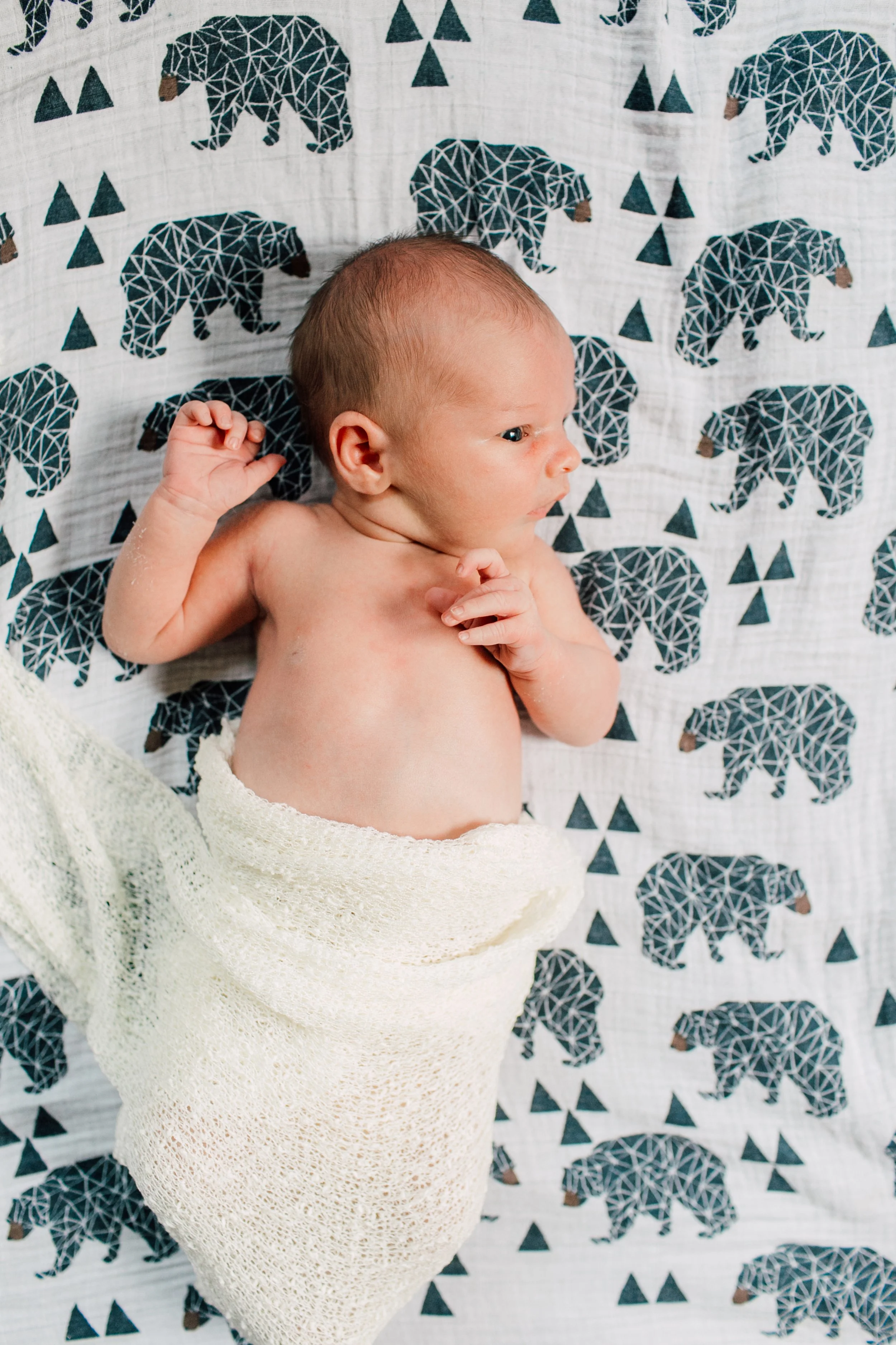 Bellingham Milestone Packages Family Photographer Katheryn Moran Photography  Shelmerdine Bellingham Best Photographer