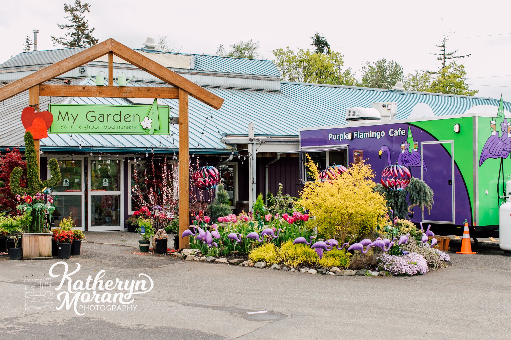 Bellingham Seattle Business Branding Photographer Katheryn Moran My Garden Nursery Purple Flamingo Food Truck 