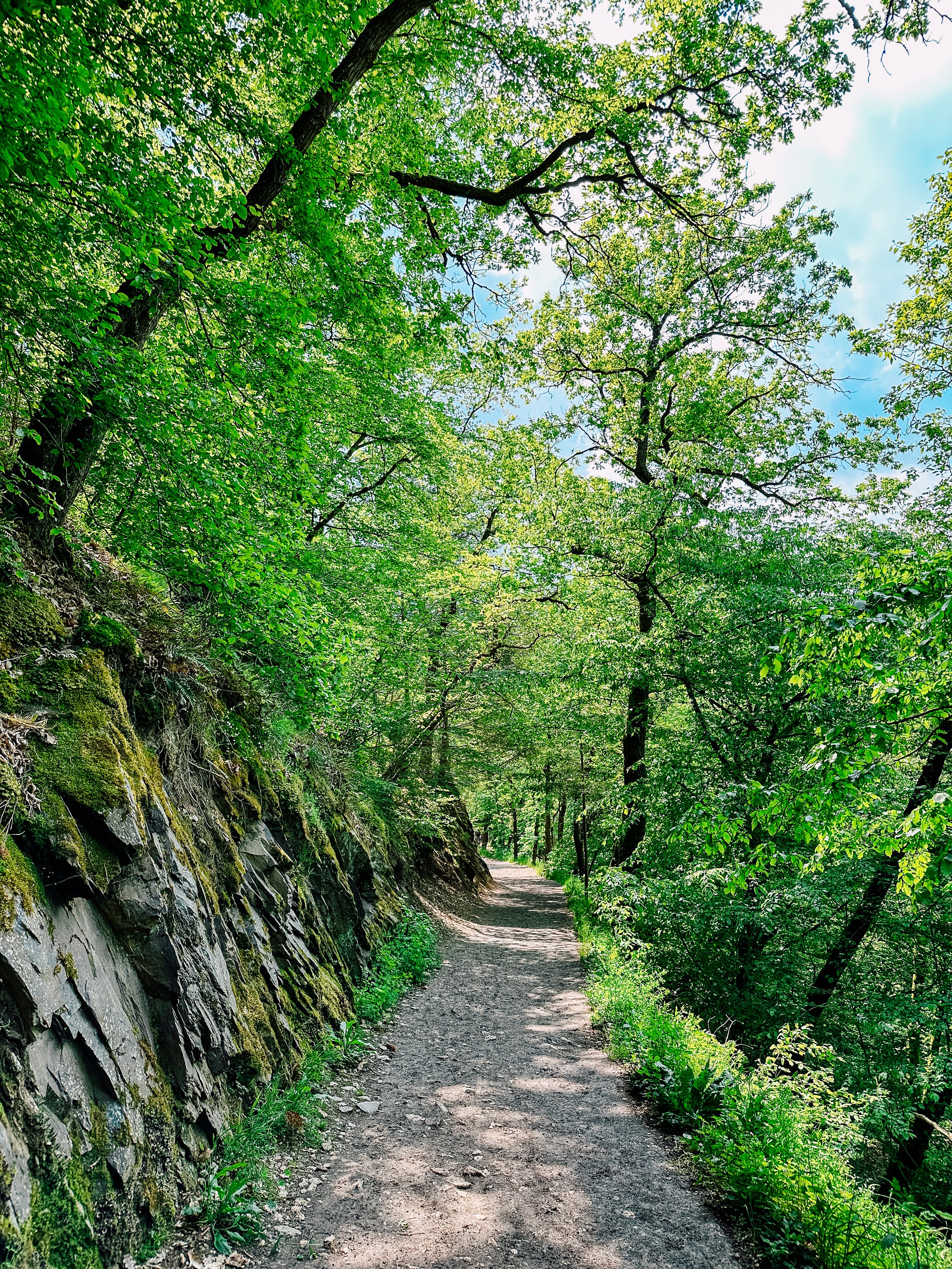 180-germany-europe-travel-photographer-katheryn-moran-heidelberg-rhine-river.jpg