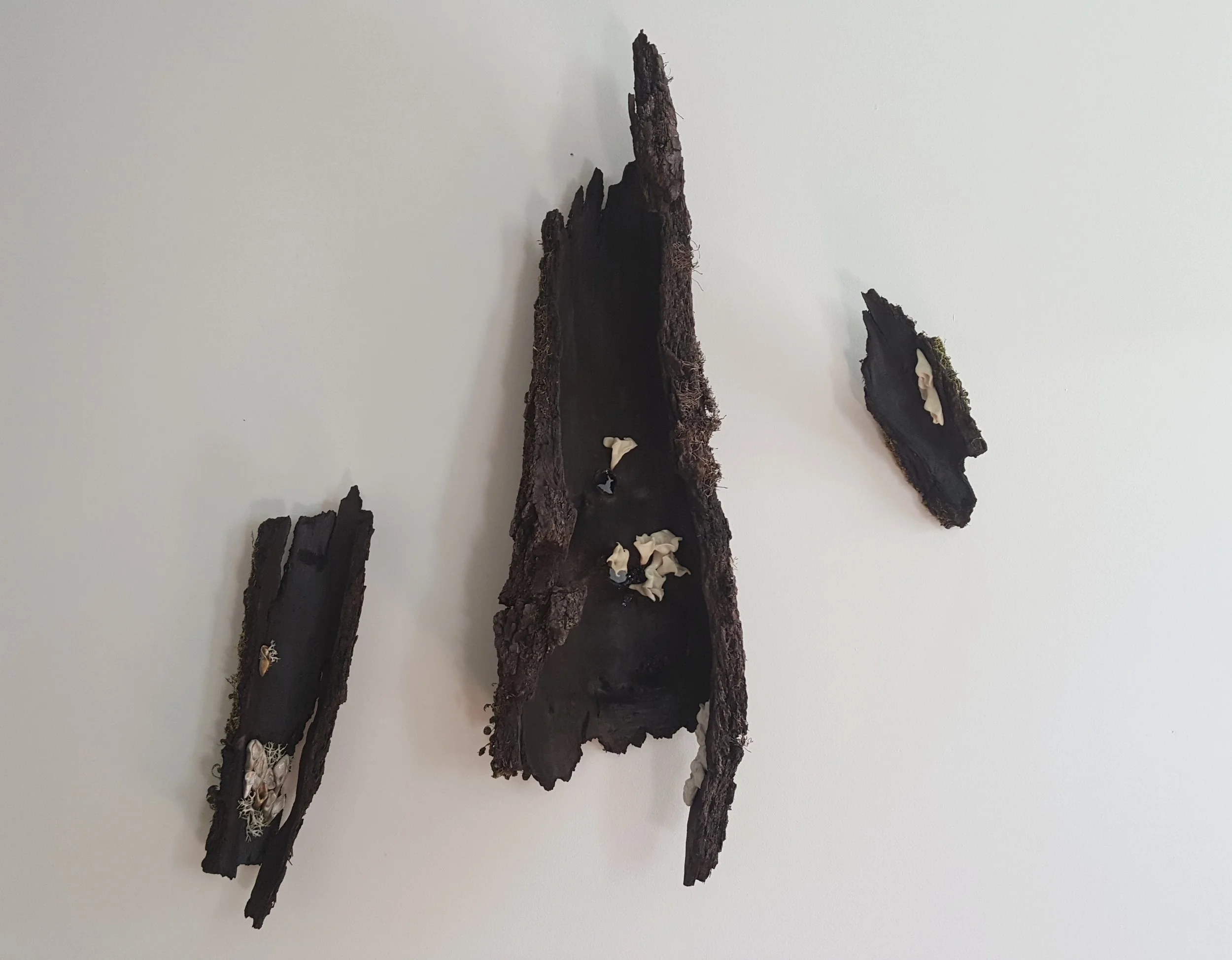 20180613_154342.jpg