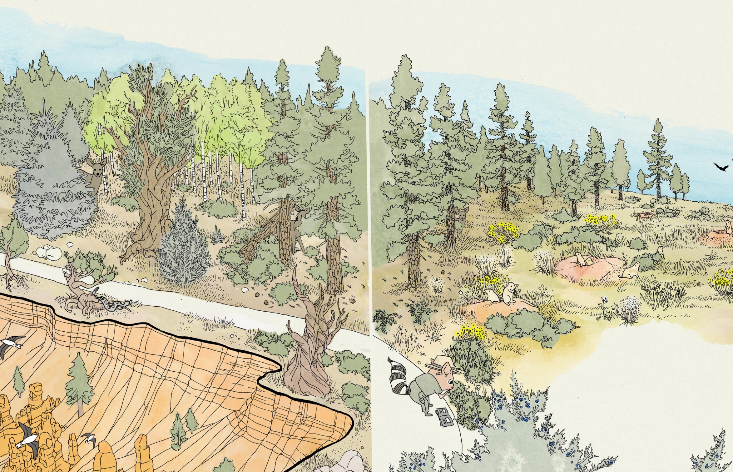 A Sense of Place