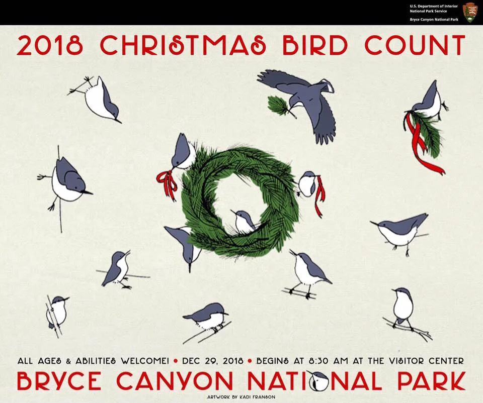 Christmas Bird Count Promotional Poster