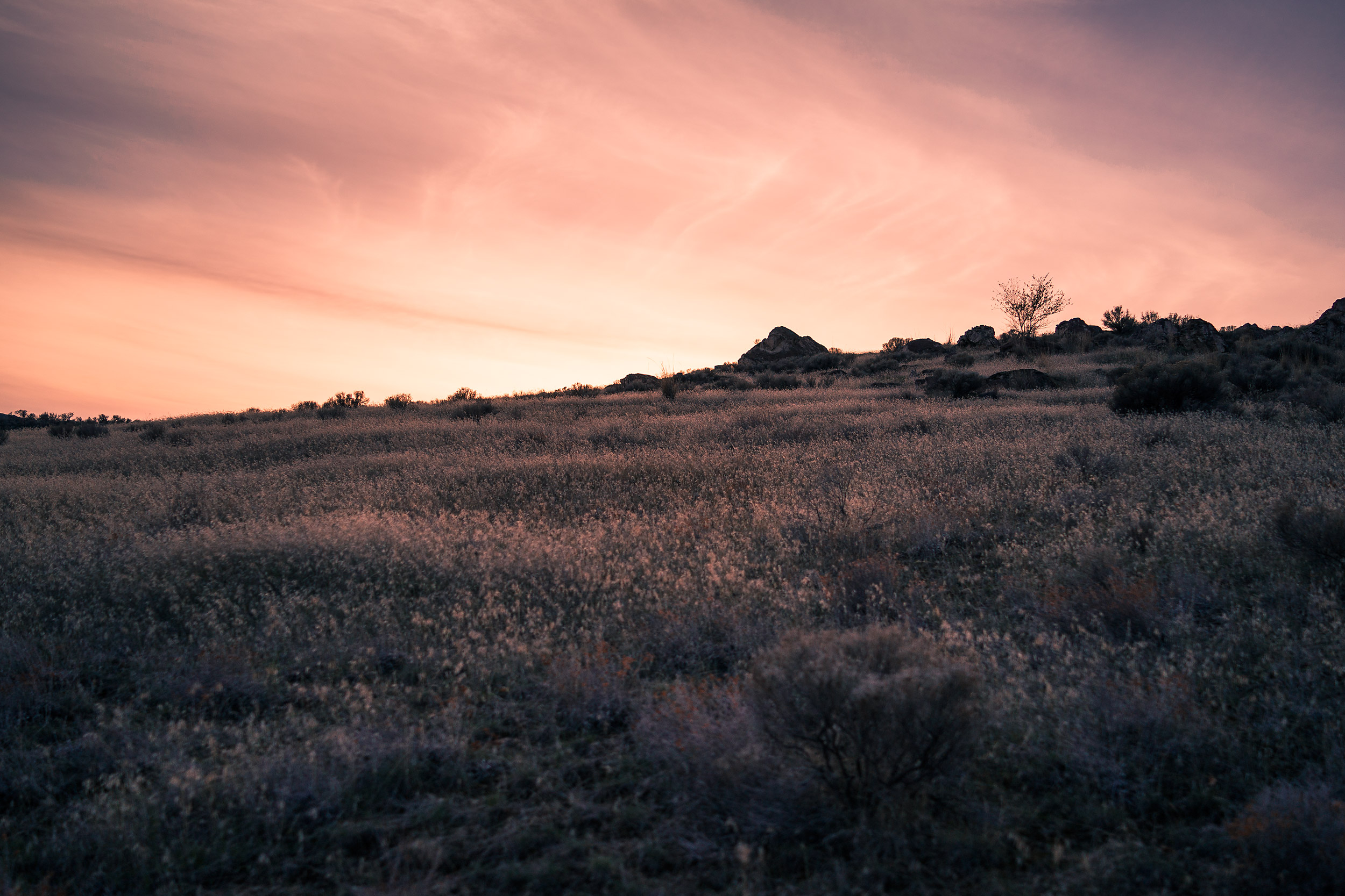 Places-18.jpg