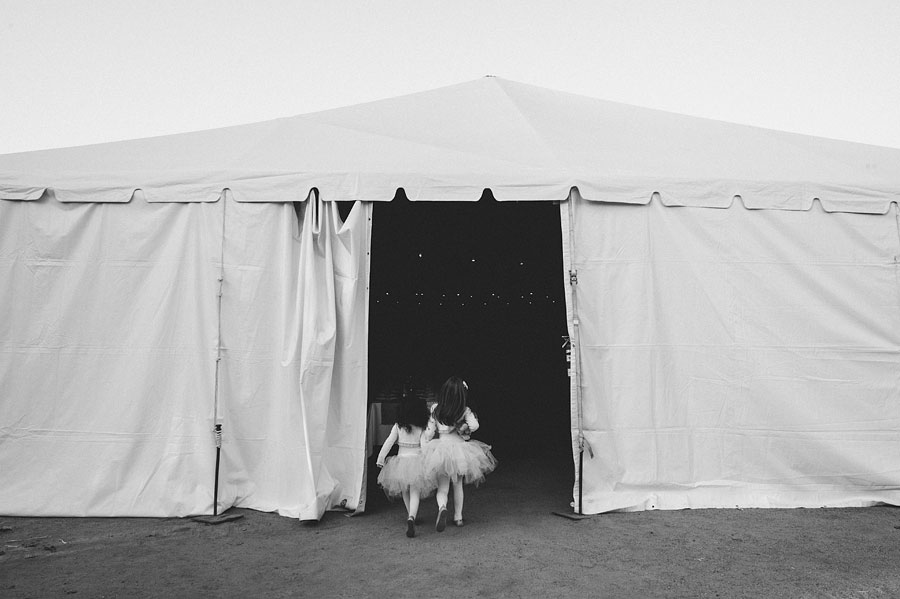 THEIMAGEISFOUND_pufferwedding_0121.jpg