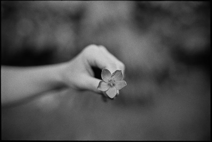 8_14_HEFFNERSINHAWAII_bw35_0021.jpg