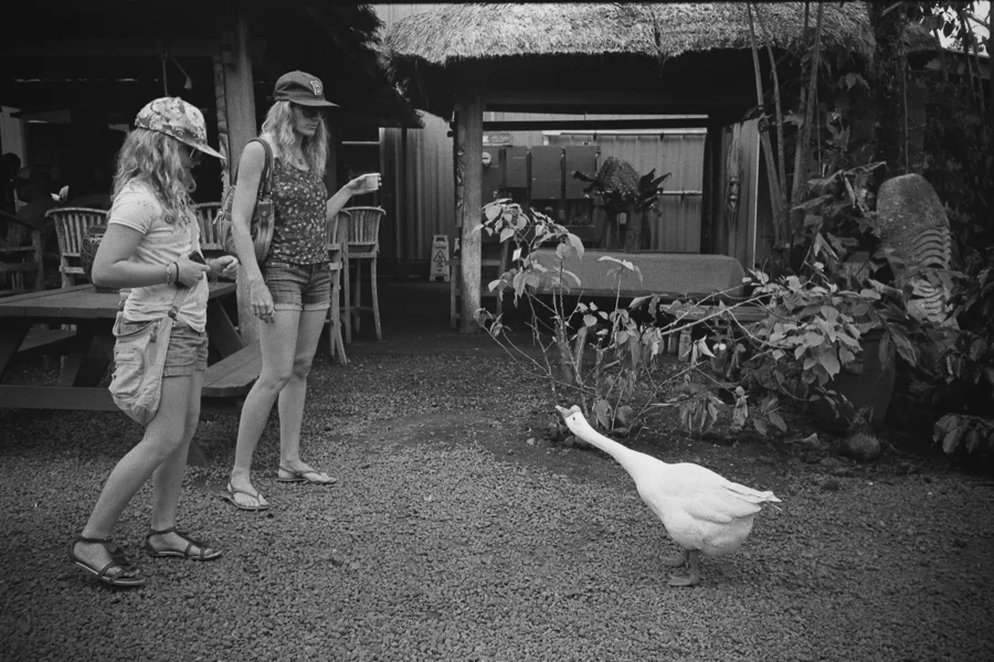 8_14_HEFFNERSINHAWAII_bw35_0128.jpg