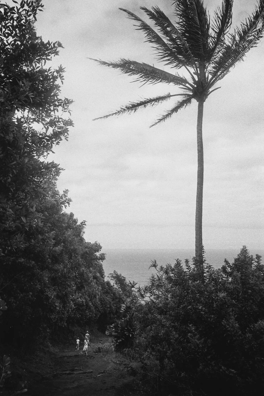 8_14_HEFFNERSINHAWAII_bw35_0153.jpg
