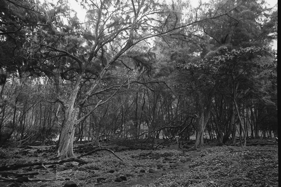 8_14_HEFFNERSINHAWAII_bw35_0161.jpg