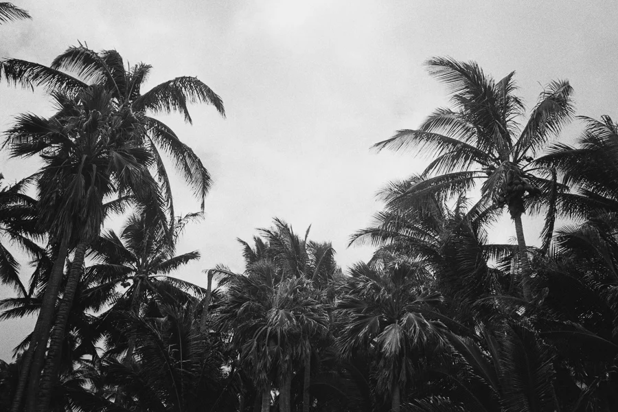 8_14_HEFFNERSINHAWAII_bw35_0243.jpg