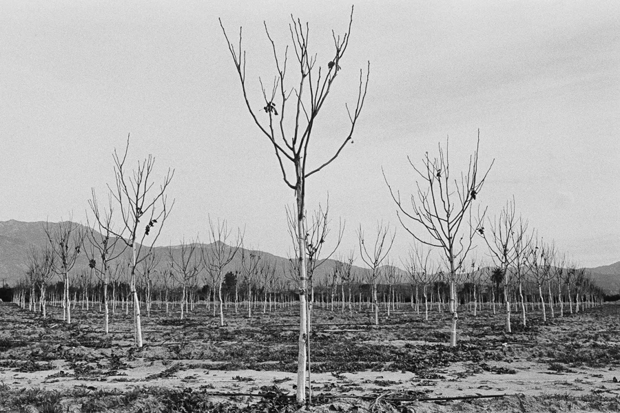 ^ Hemet, CA.