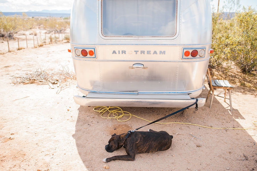 JOSHUATREEWEDDING_bytheimageisfound_0061.jpg
