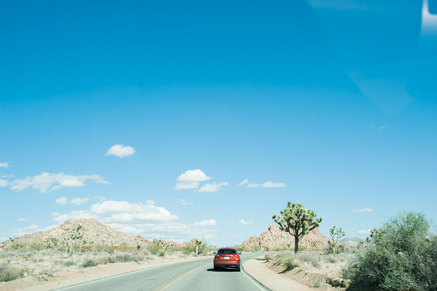 JOSHUATREEWEDDING_bytheimageisfound_0064.jpg