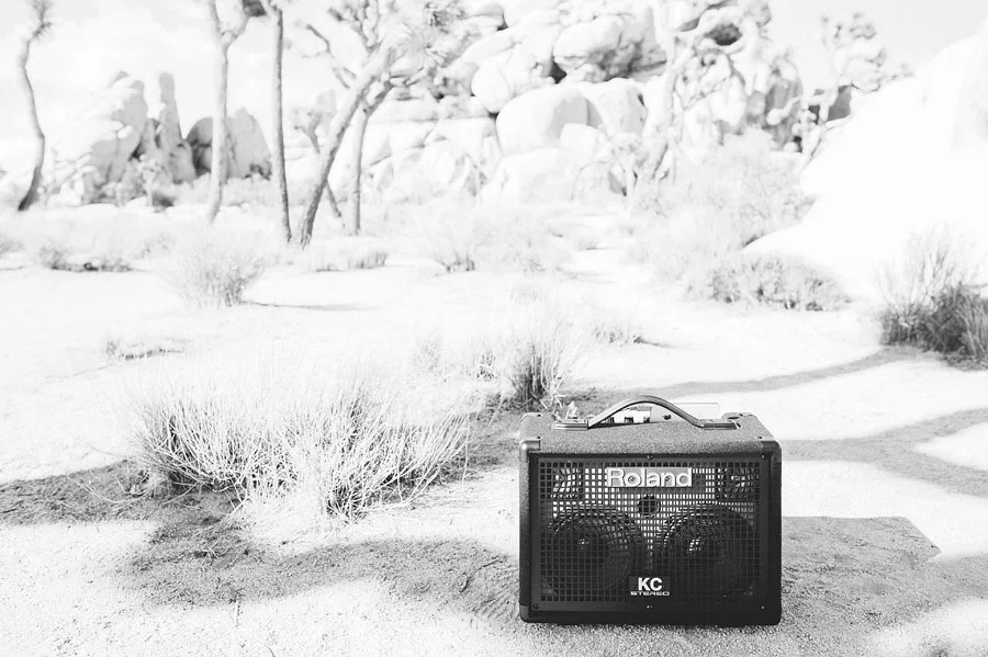 JOSHUATREEWEDDING_bytheimageisfound_0071.jpg