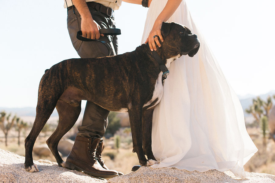 JOSHUATREEWEDDING_bytheimageisfound_0084.jpg