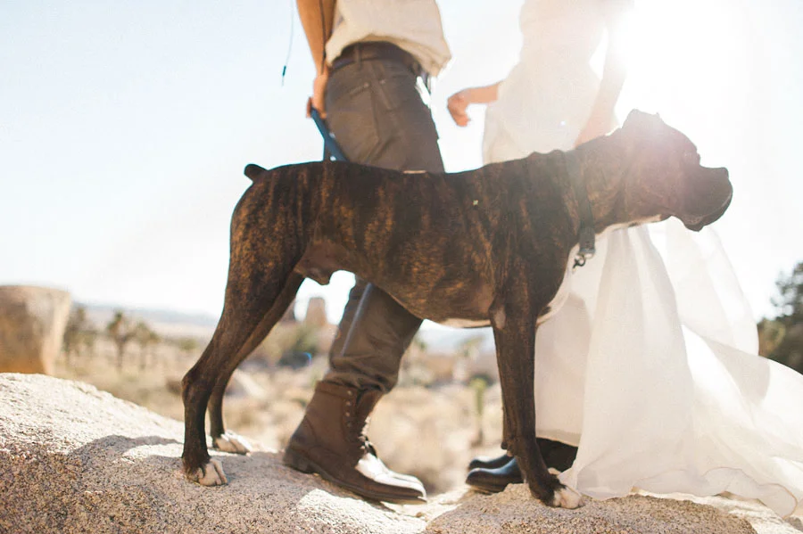 JOSHUATREEWEDDING_bytheimageisfound_0087.jpg