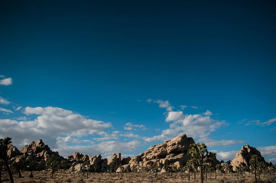 JOSHUATREEWEDDING_bytheimageisfound_0089.jpg