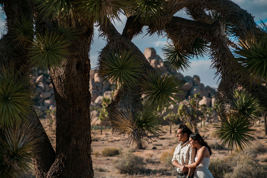 JOSHUATREEWEDDING_bytheimageisfound_0090.jpg
