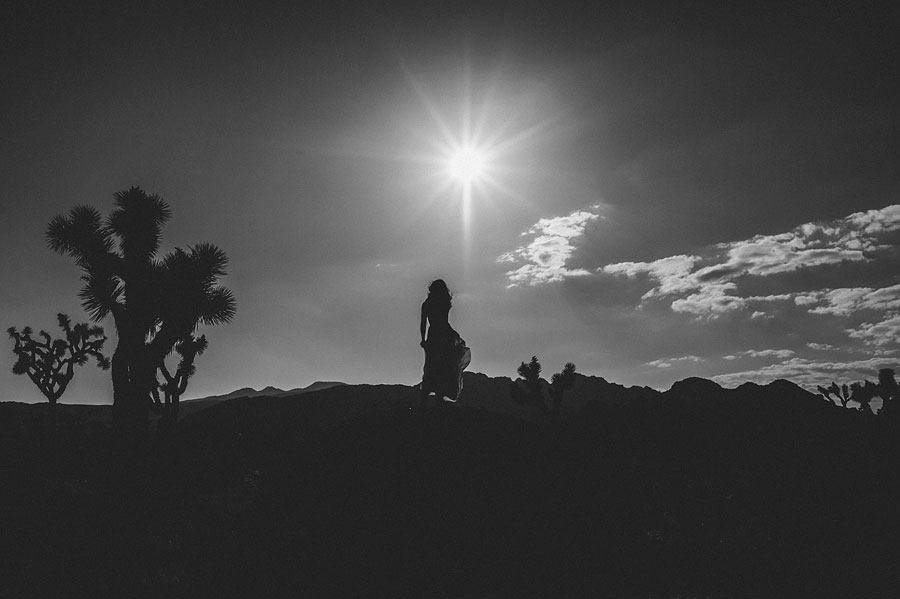JOSHUATREEWEDDING_bytheimageisfound_0101.jpg