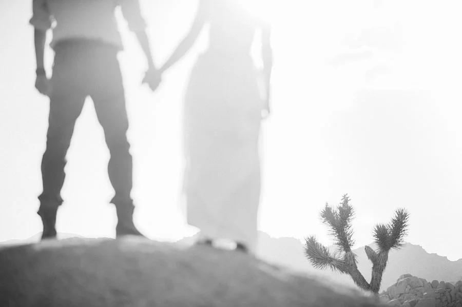 JOSHUATREEWEDDING_bytheimageisfound_0102.jpg