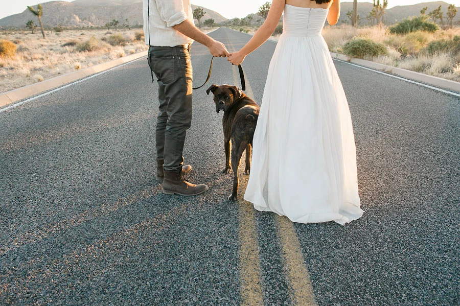 JOSHUATREEWEDDING_bytheimageisfound_0111.jpg