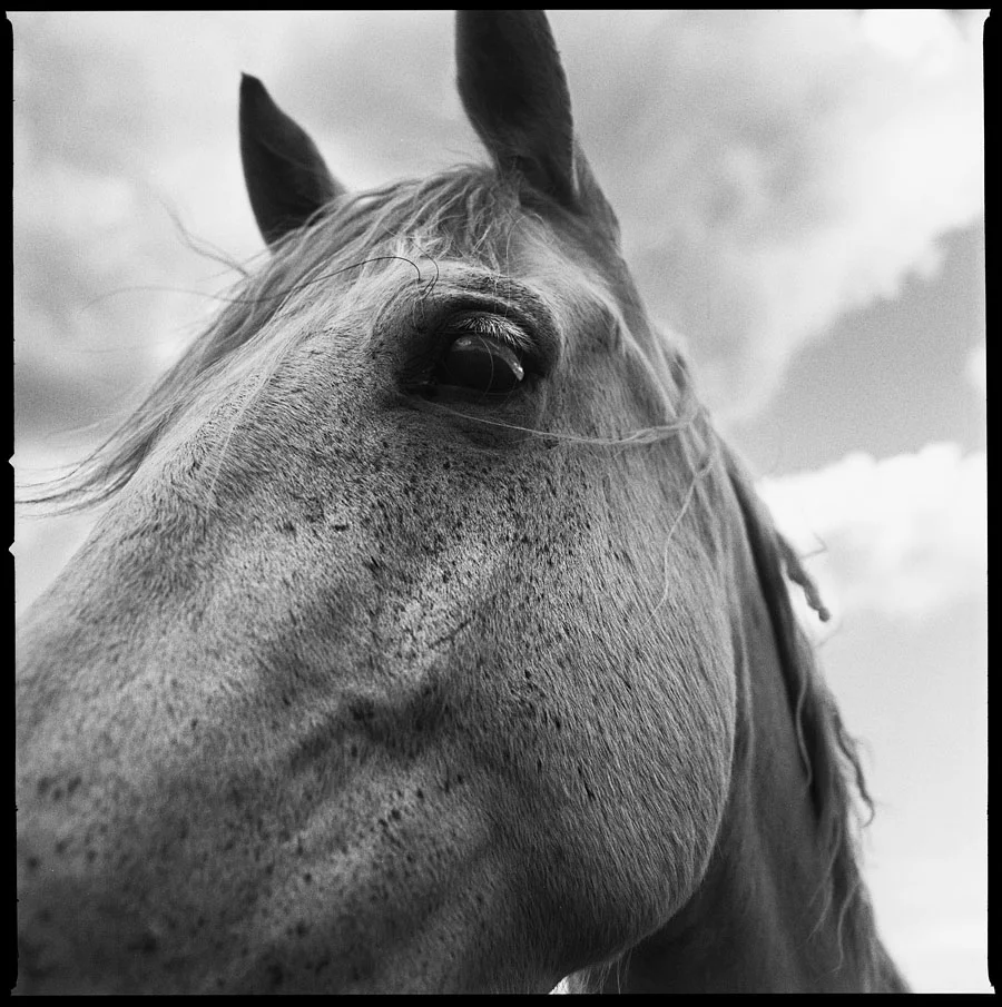 lifeonfilm_bytheimageisfound_0188.jpg