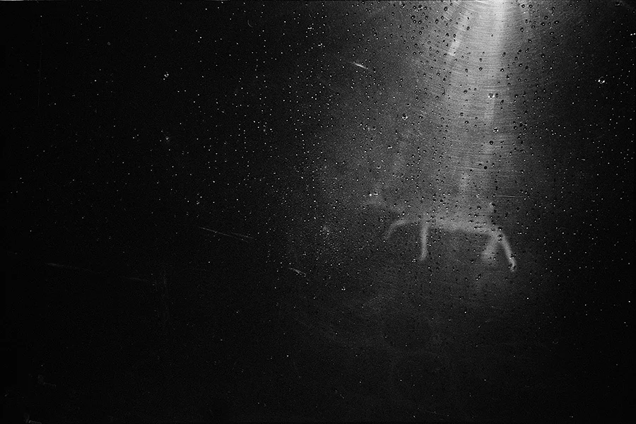 3_14_FIELDTRIP_BW_THEIMAGEISFOUND_020.jpg