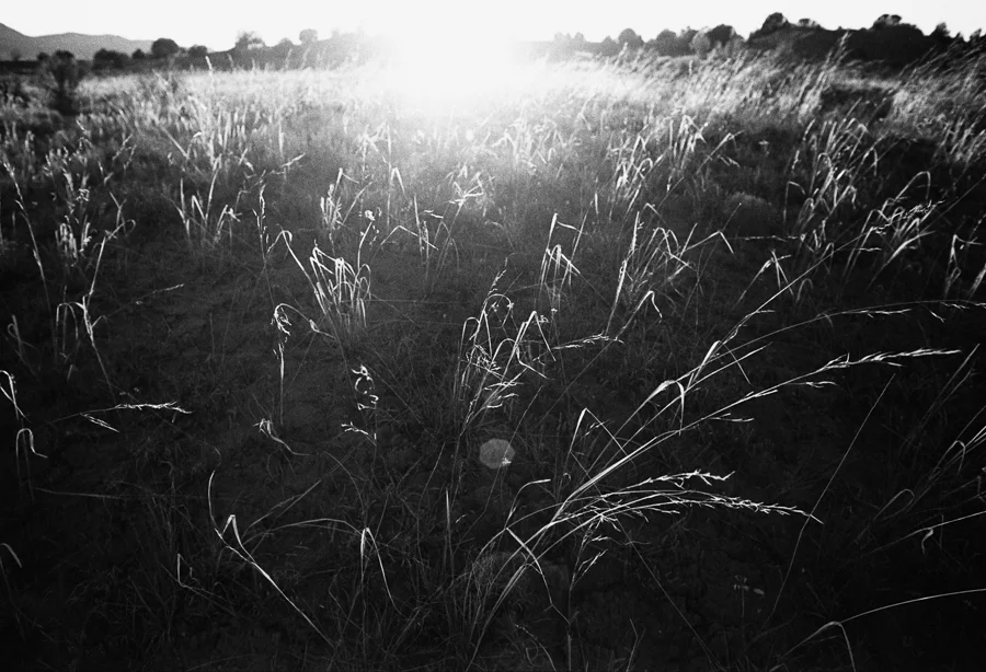 SouthwestFamilyRoadtripOnFilm_8_2014_by_TheImageIsFound_0037.jpg