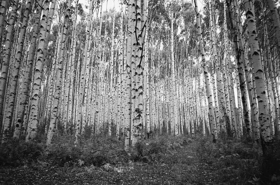 SouthwestFamilyRoadtripOnFilm_8_2014_by_TheImageIsFound_0090.jpg