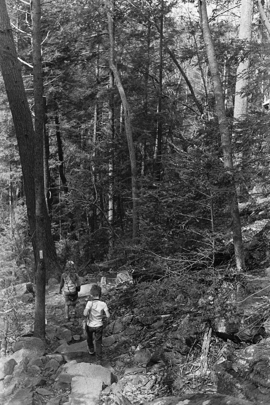 3_21_15_fosterfalls_M6_0013.jpg