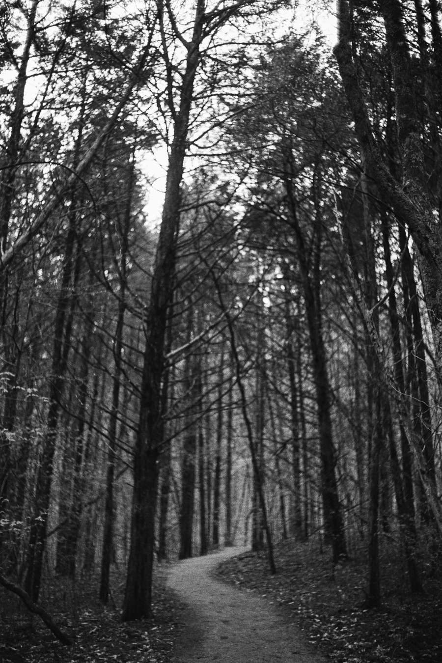 4.15.PARENTSVISIT_LEICAM6_0055.jpg