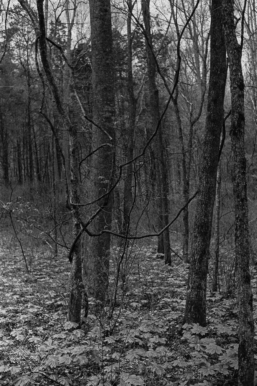 4.15.PARENTSVISIT_LEICAM6_0056.jpg
