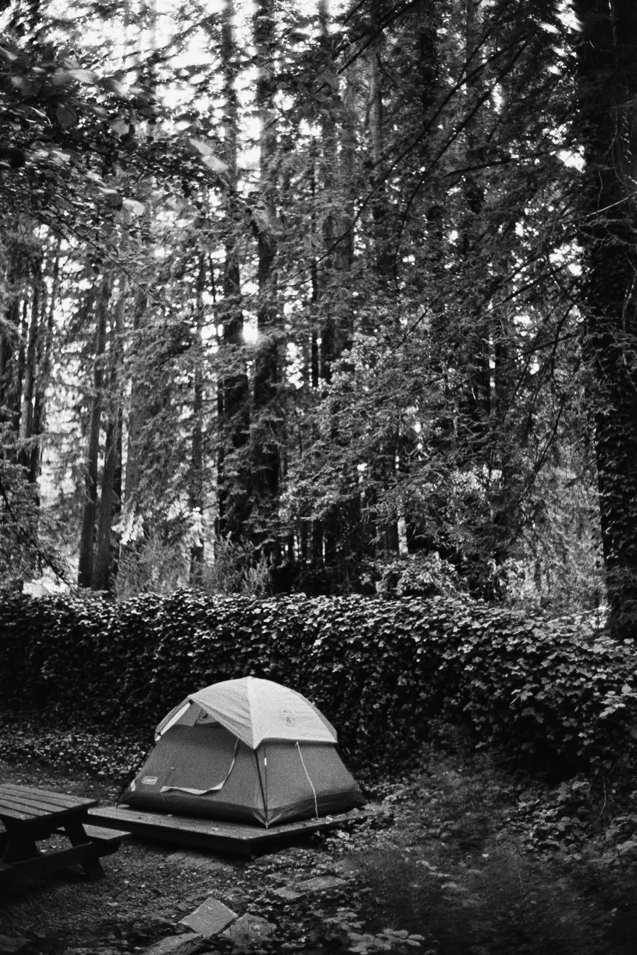 MAYJUNECALIFORNIATRIP2015_0405.jpg