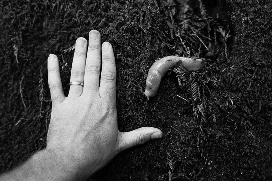 ^ Banana slug ewwwwwwww.