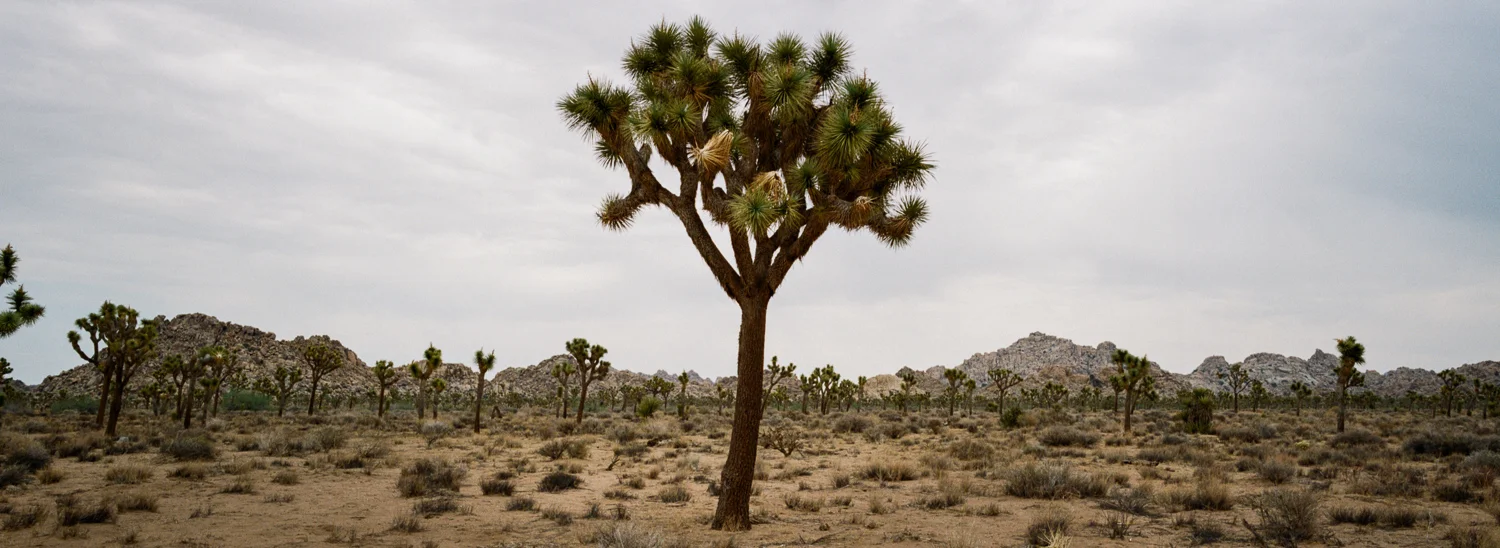 SouthwestRoadTrip2015_0001.jpg