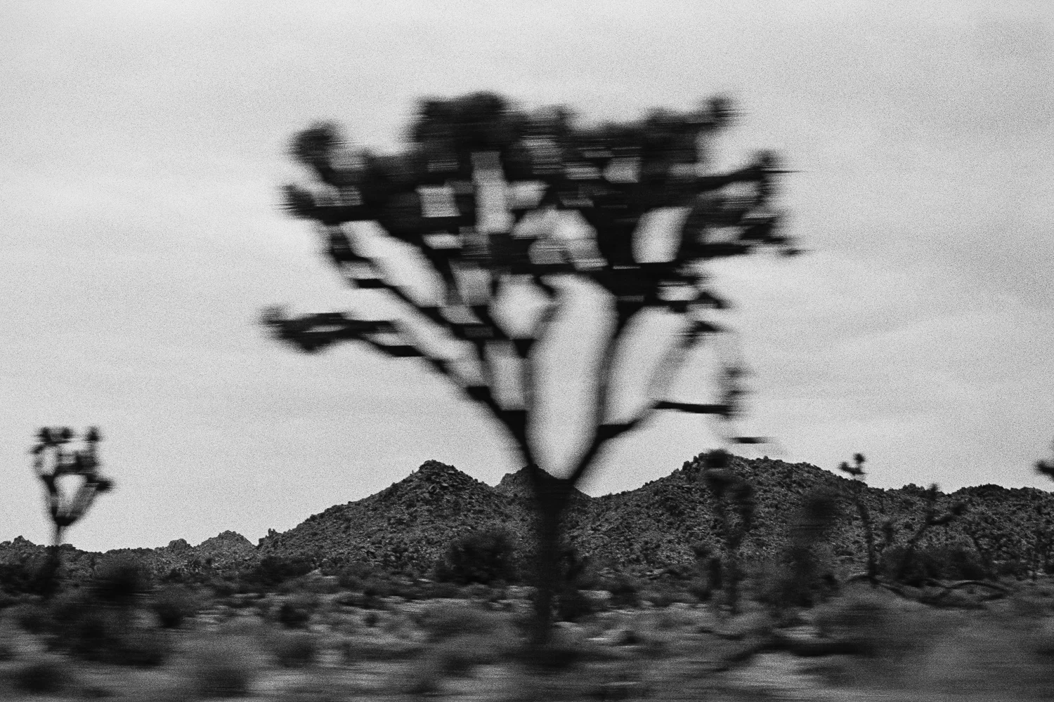 SouthwestRoadTrip2015_0013.jpg