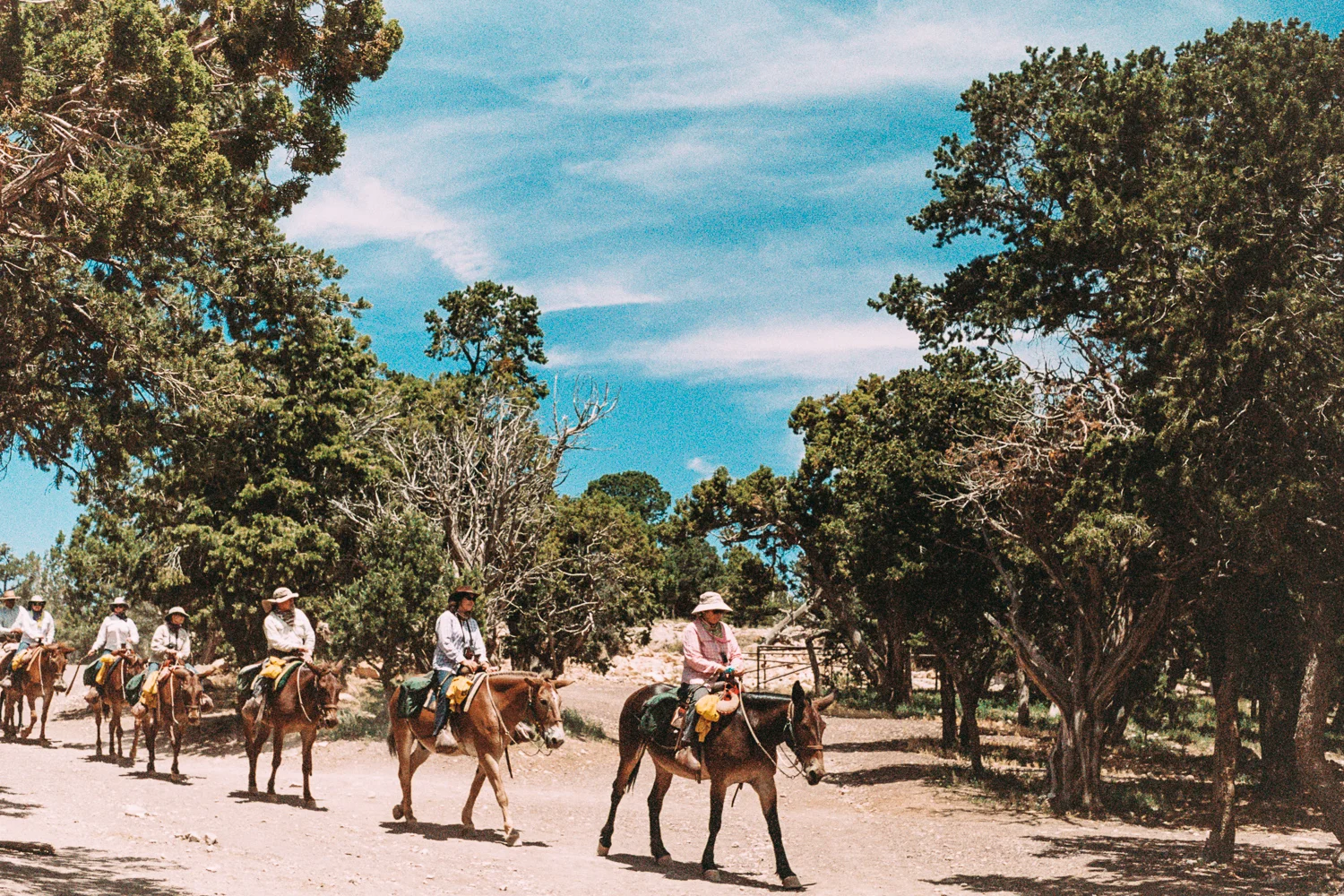 SouthwestRoadTrip2015_239.jpg