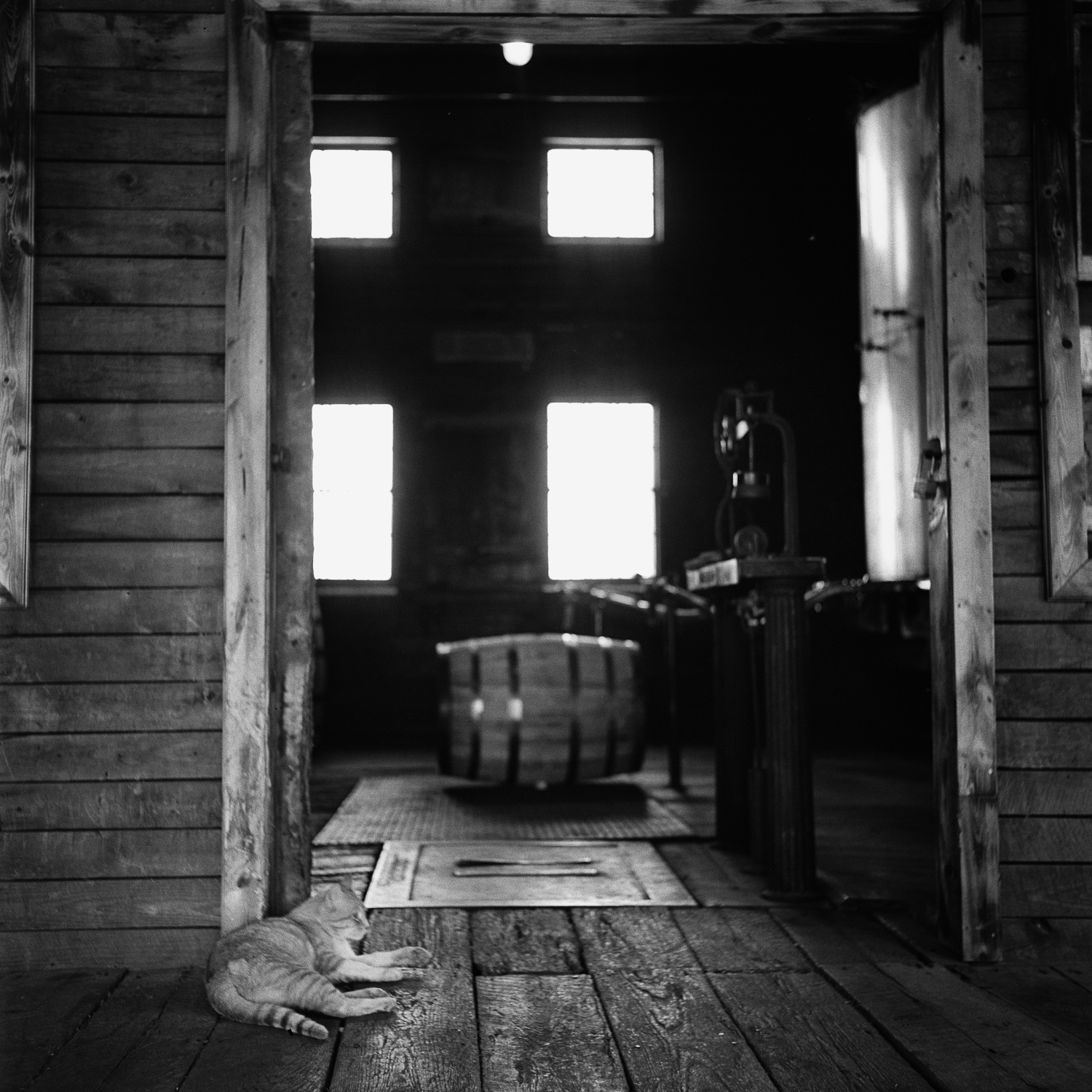 scan084.jpg