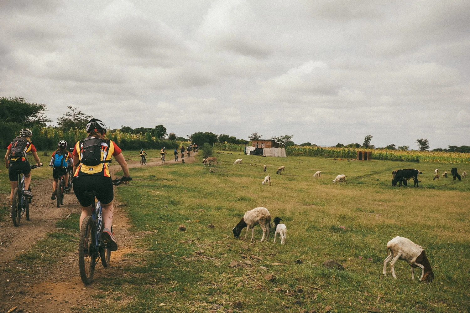 RIDETZ2014_by_natekaiser_0201.jpg