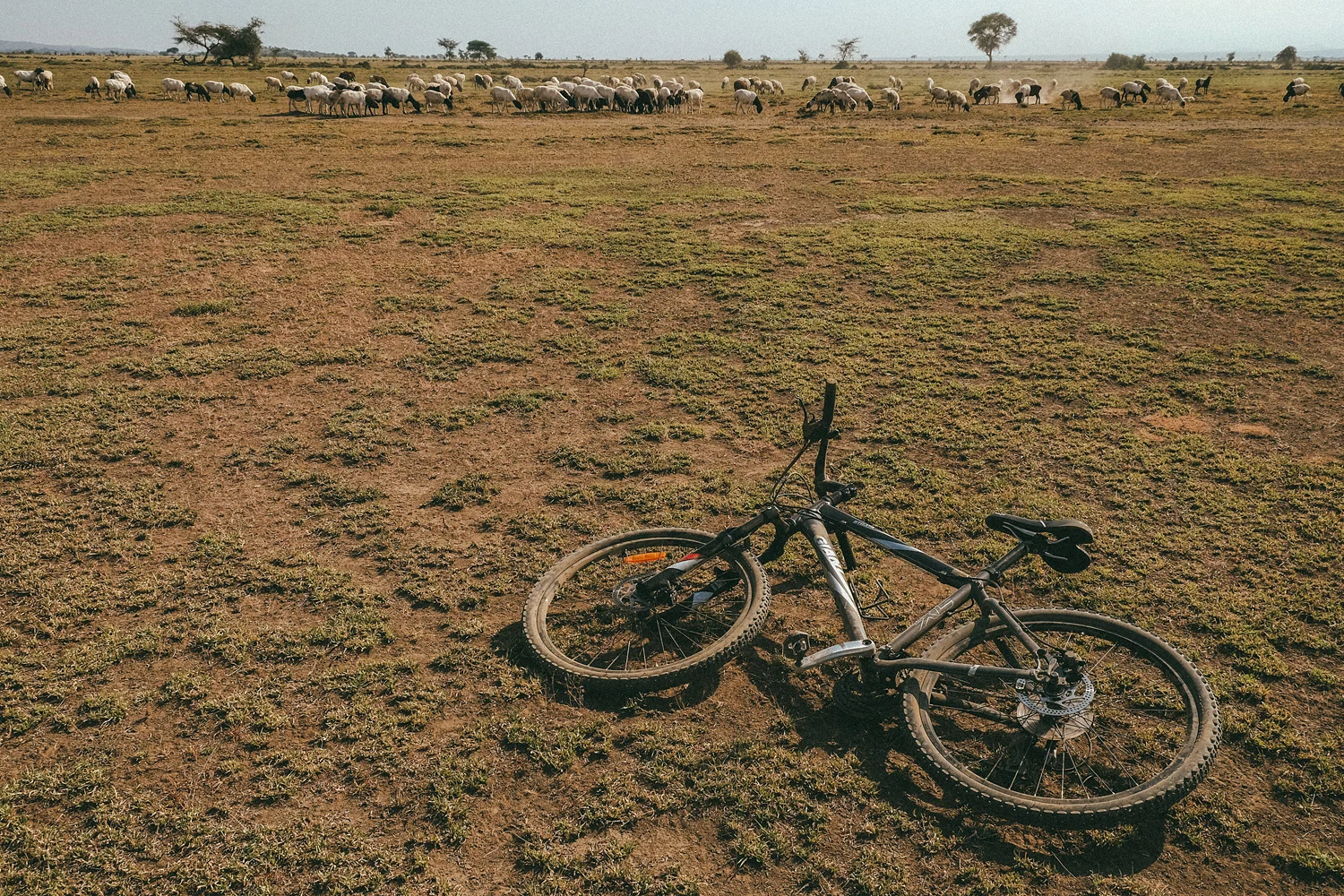 RIDETZ2014_by_natekaiser_0245.jpg