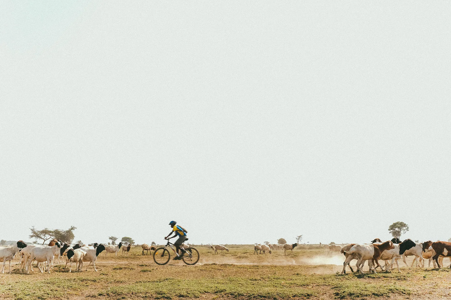 RIDETZ2014_by_natekaiser_0242.jpg