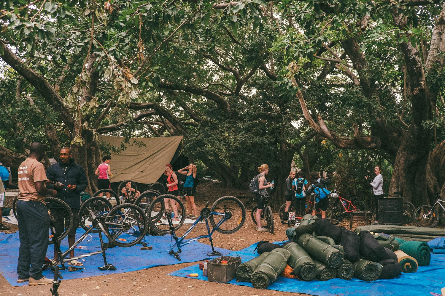 ^ AM camp breakdown vibes.