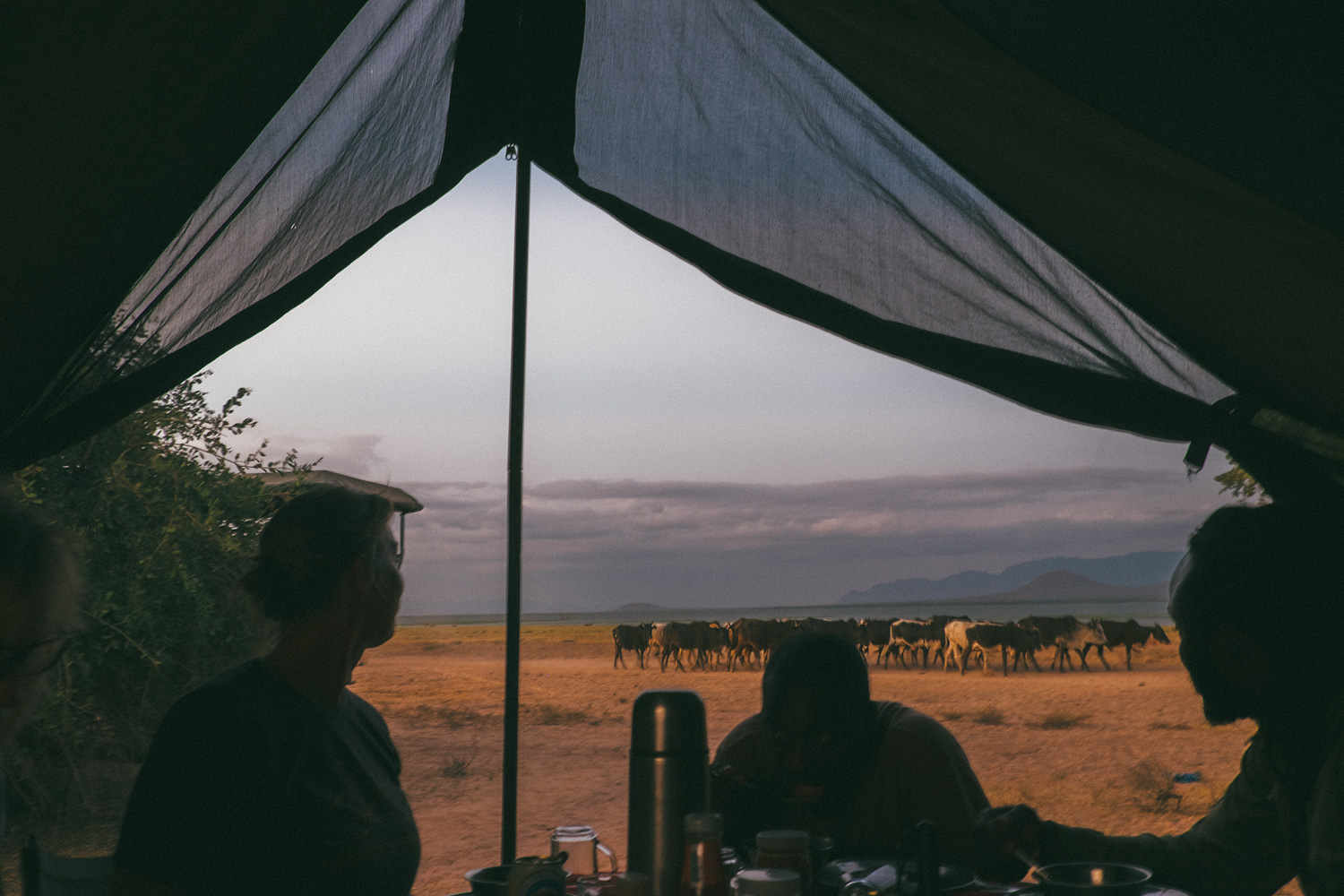 ^ Dinner views from our mess tent.