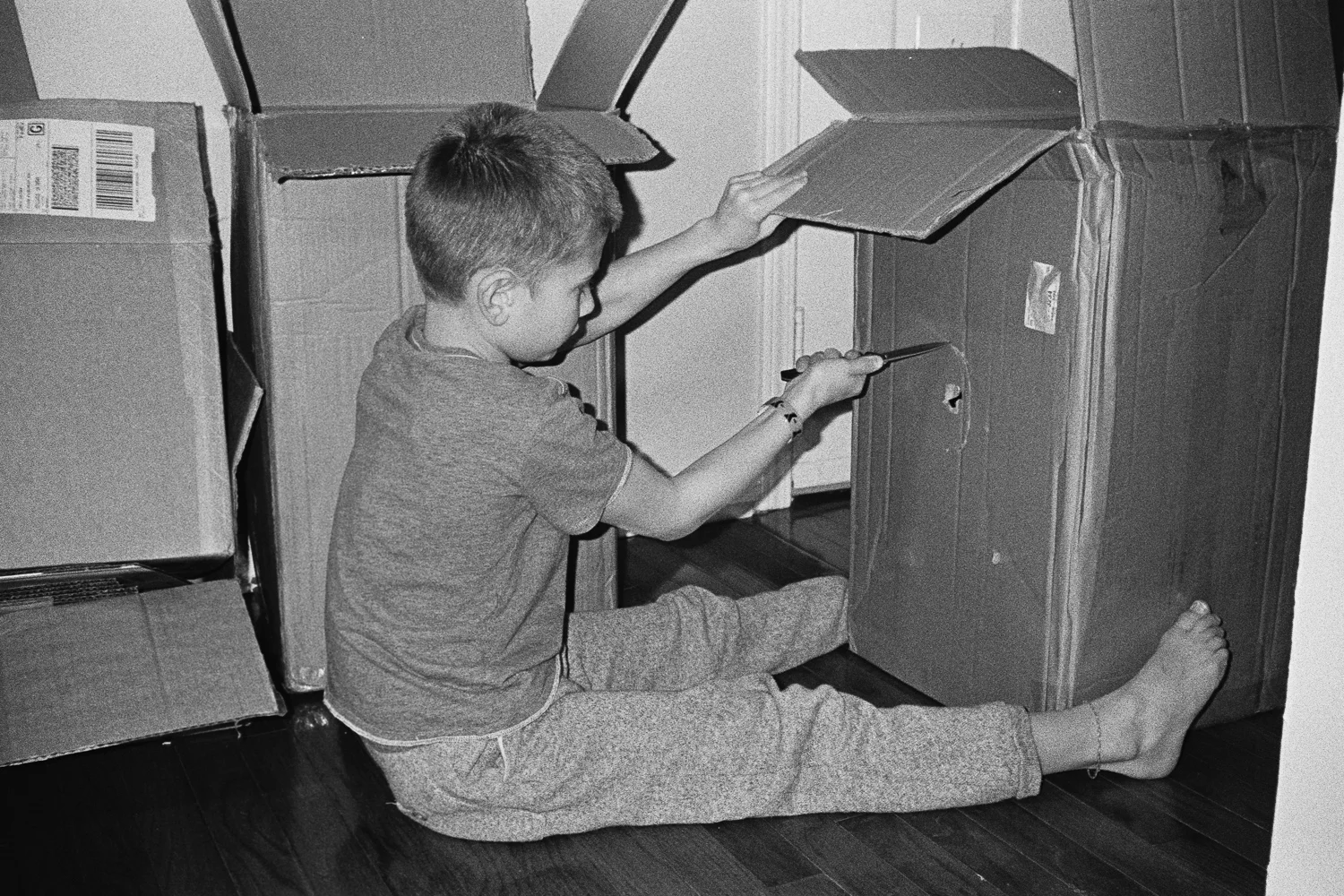 ^ New suitcase boxes we endless hours of entertainment for Jasper.