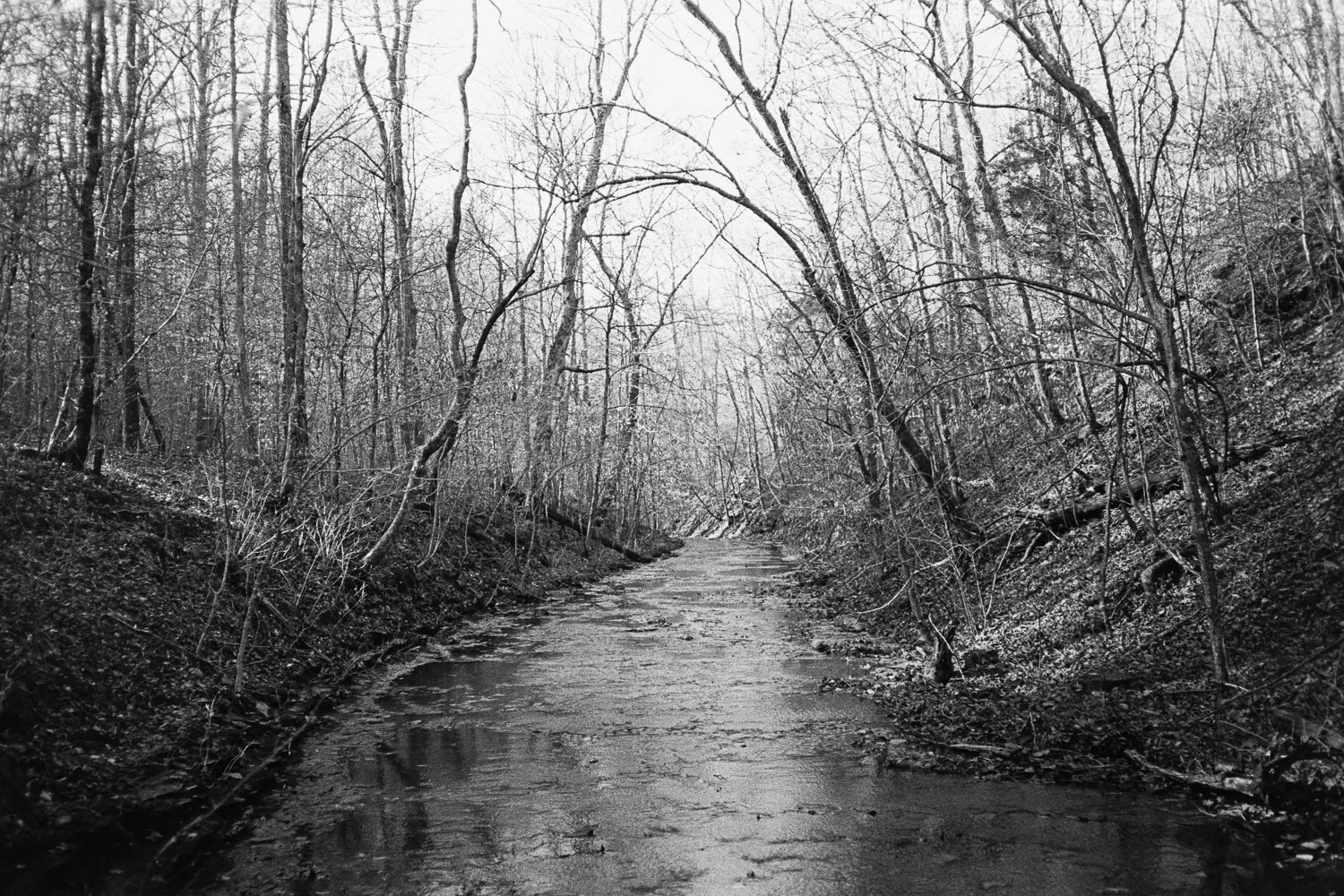 ^ A chill afternoon spent on the creek at Beaman Park.