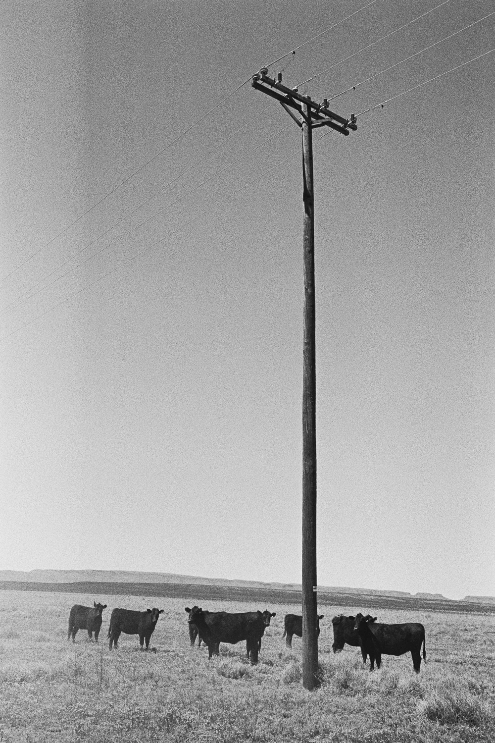 4_16_MARFA_BW_0008.jpg