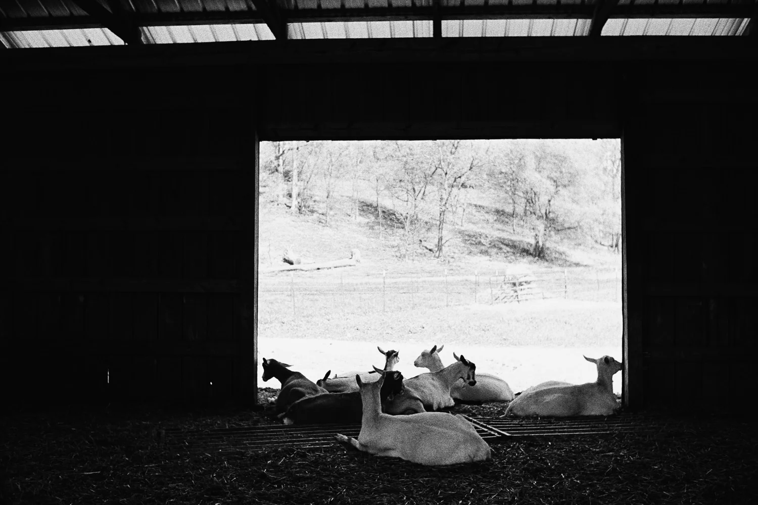 5_16_MISC_0038.jpg