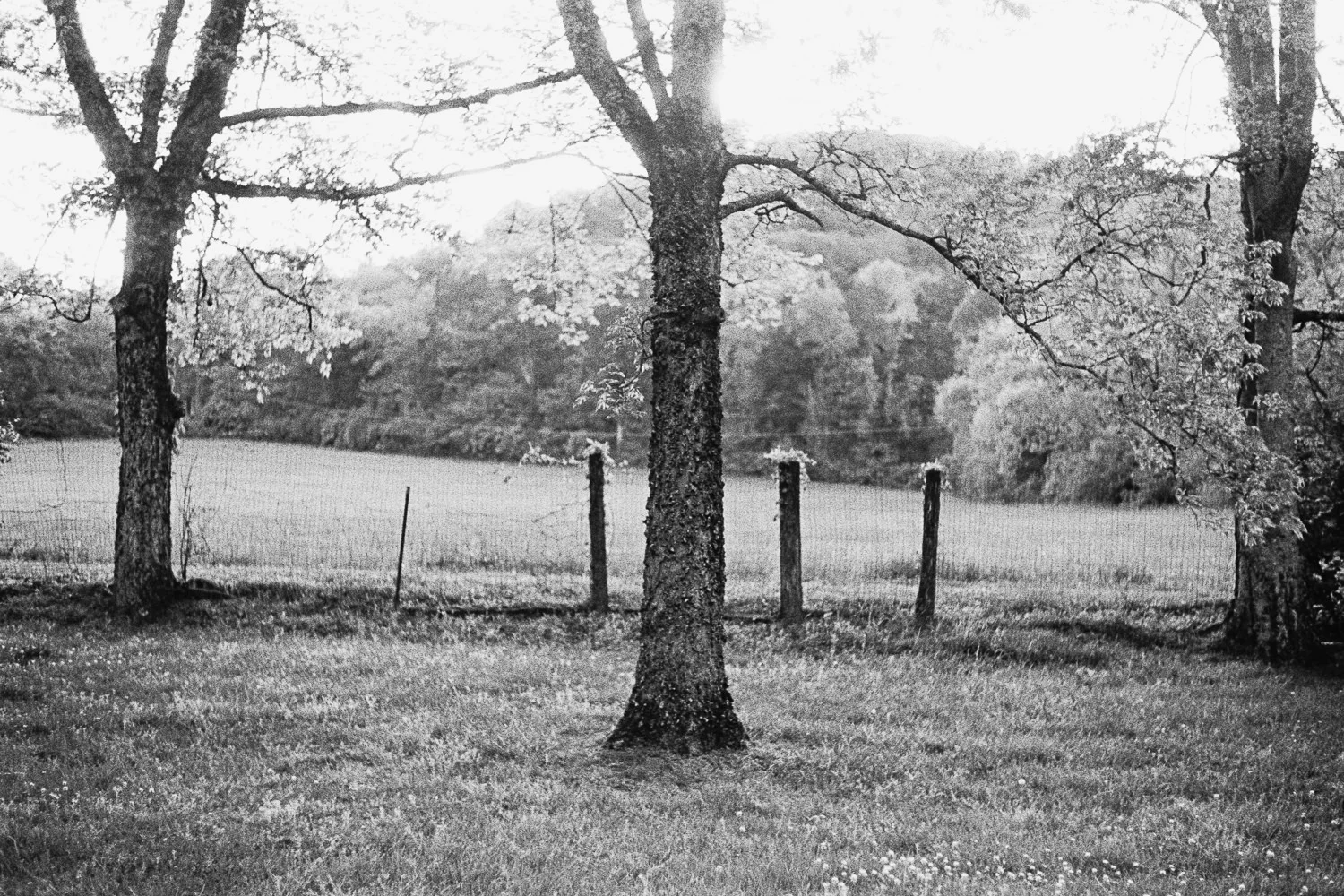 6_16_MISC_0015.jpg