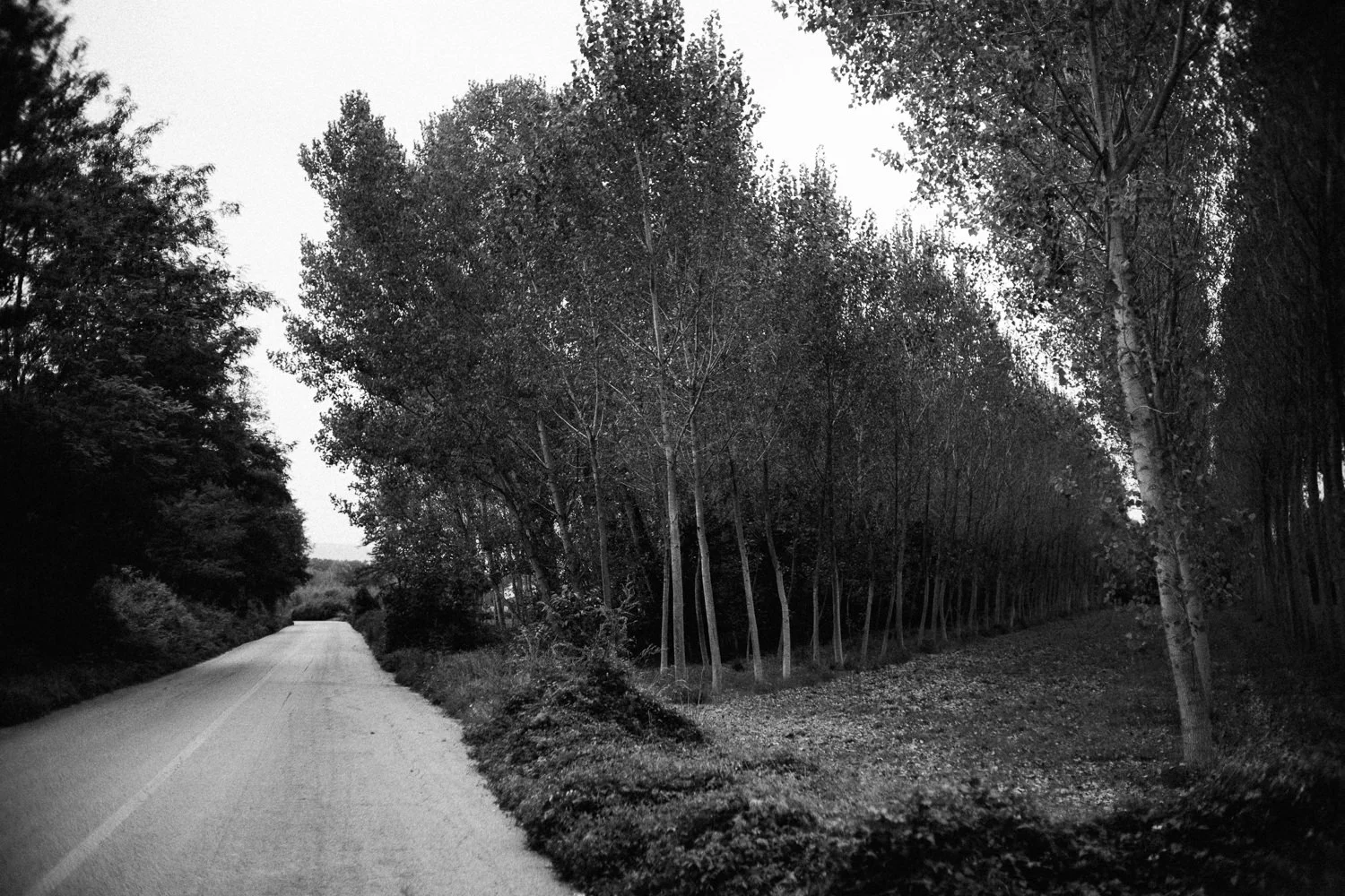 9.2018_Italy_0037.jpg